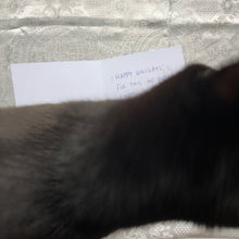 Load image into Gallery viewer, Vintage Kitten Holiday Card