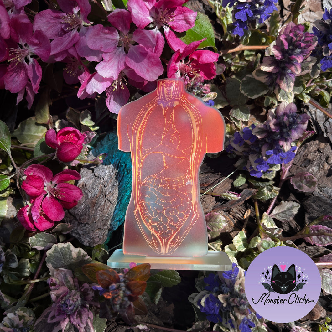 Frosted Iridescent Anatomical Body Standee (MTO)